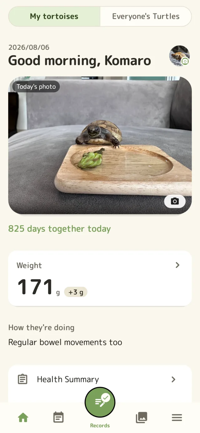 Koura Diary home screen showing today's log and recent activity